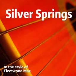 Cover art for Silver Springs - Fleetwood Mac karaoke version