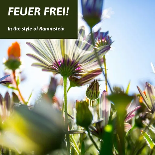 Karaoke Feuer Frei! by Rammstein — sing along with lyrics on Singa