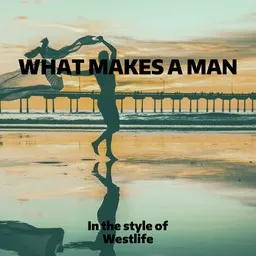 Omslagsbild för What Makes A Man - Westlife karaokeversion