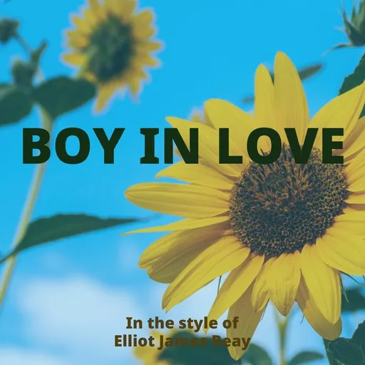 Boy In Love - Karaoke