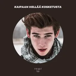 Cover art for Kaipaan hellää kosketusta - Ässät karaoke version