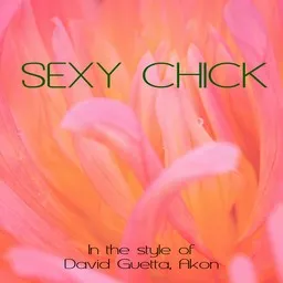 Cover art for Sexy Chick - Akon,David Guetta karaoke version