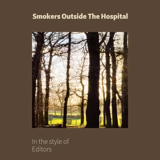Karaoke Smokers Outside The Hospital by Editors — sing along with lyrics on Singa