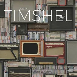 Cover art for Timshel - Mumford & Sons karaoke version