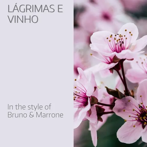 Lágrimas E Vinho - Karaoke