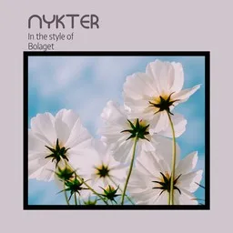 Cover art for Nykter - Bolaget karaoke version