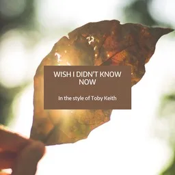 Karaokekappaleen Wish I Didn't Know Now - Toby Keith kansikuva