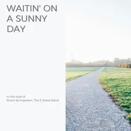 Cover art for Waitin' On A Sunny Day - Bruce Springsteen,The E Street Band karaoke version
