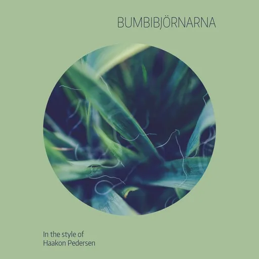 Bumbibjörnarna - Karaoke