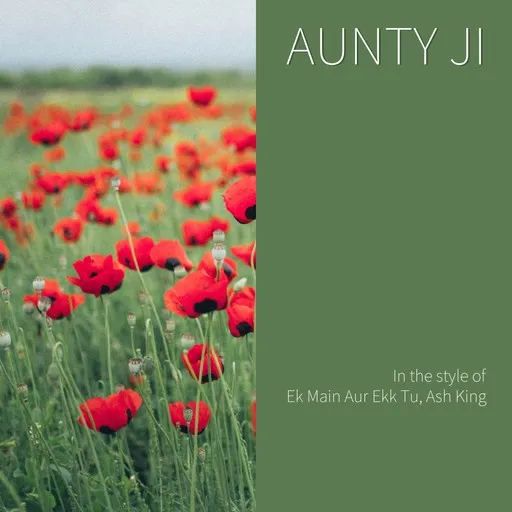 Karaoke Aunty Ji von Ash King, Ek Main Aur Ekk Tu — mit Songtext mitsingen auf Singa