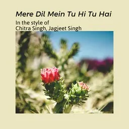 Karaokekappaleen Mere Dil Mein Tu Hi Tu Hai - Chitra Singh,Jagjeet Singh kansikuva