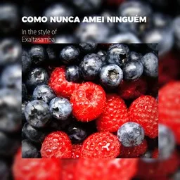 Titelbild für Como Nunca Amei Ninguém - Exaltasamba Karaoke-Version
