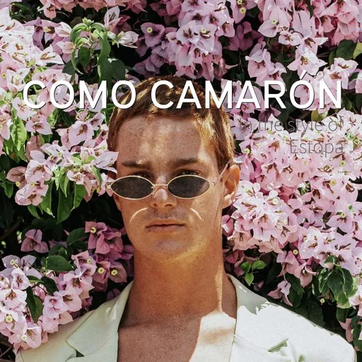 Como Camarón - Karaoke