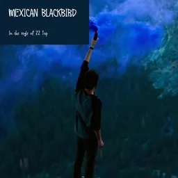 Cover art for Mexican Blackbird - ZZ Top karaoke version