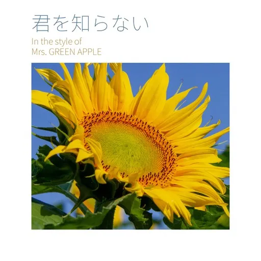 Karaoke 君を知らない esittäjältä Mrs. GREEN APPLE — laula mukana sanoituksilla Singassa