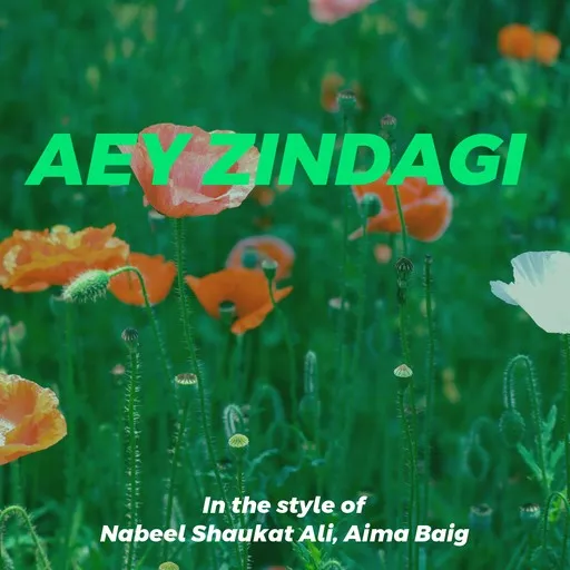Karaoke Aey Zindagi by Aima Baig, Nabeel Shaukat Ali — sing along with lyrics on Singa