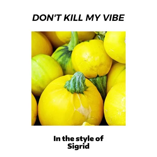 Karaoke Don't Kill My Vibe av Sigrid — sjung med på texten på Singa