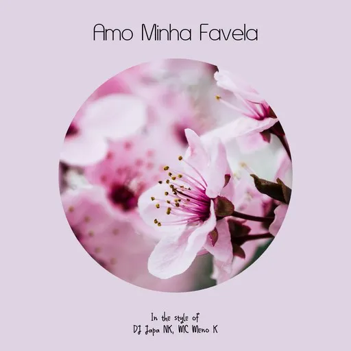 Karaoke Amo Minha Favela von DJ Japa NK, MC Meno K — mit Songtext mitsingen auf Singa