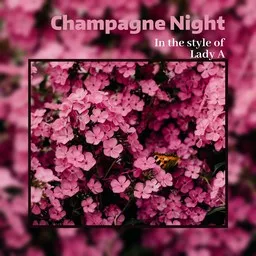 Karaokekappaleen Champagne Night - Lady A kansikuva