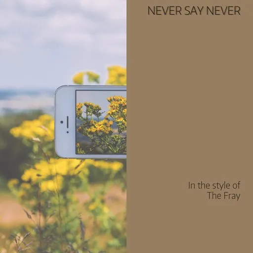 Karaoke Never Say Never by The Fray — sing along with lyrics on Singa