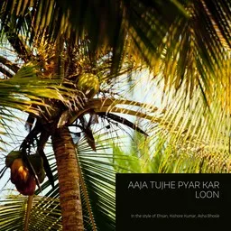 Omslagsbild för Aaja Tujhe Pyar Kar Loon - Asha Bhosle,Ehsan,Kishore Kumar karaokeversion