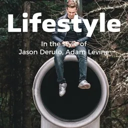 Omslagsbild för Lifestyle - Adam Levine,Jason Derulo karaokeversion