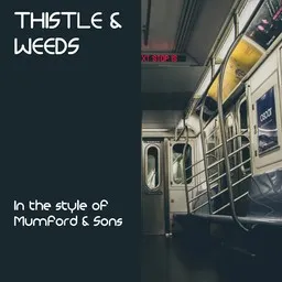 Cover art for Thistle & Weeds - Mumford & Sons karaoke version