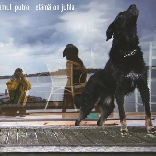 Karaoke Mitäpä jos von Samuli Putro — mit Songtext mitsingen auf Singa
