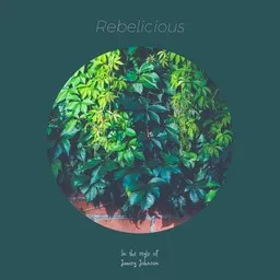 Cover art for Rebelicious - Jamey Johnson karaoke version