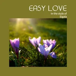 Titelbild für Easy Love - Sigala Karaoke-Version
