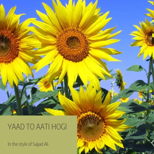 Karaoke Yaad To Aati Hogi by Sajjad Ali — sing along with lyrics on Singa