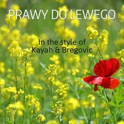 Cover art for Prawy do lewego - Kayah & Bregovic karaoke version