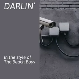 Cover art for Darlin’ - The Beach Boys karaoke version