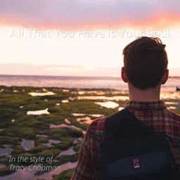 Cover art for All That You Have Is Your Soul - Tracy Chapman karaoke version