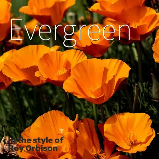 Karaoke Evergreen by Roy Orbison — sing along with lyrics on Singa
