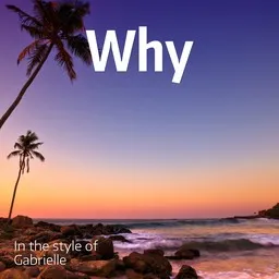 Cover art for Why - Gabrielle karaoke version