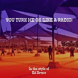 Titelbild für You Turn Me On (Like A Radio) - Ed Bruce Karaoke-Version