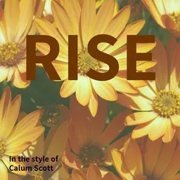 Titelbild für Rise - Calum Scott Karaoke-Version