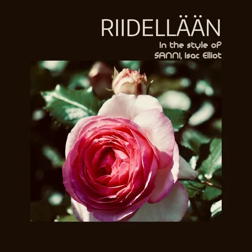 Riidellään - Karaoke