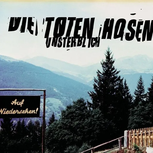 Karaoke Bayern by Die Toten Hosen — sing along with lyrics on Singa