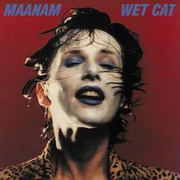 Omslagsbild för Lucciola - Maanam karaokeversion