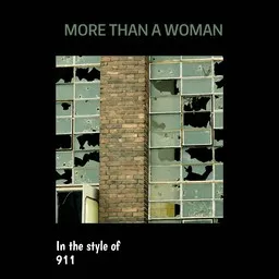 Titelbild für More Than A Woman - 911 Karaoke-Version