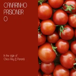 Cover art for Canarinho Prisioneiro - Chico Rey & Paraná karaoke version