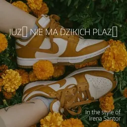 Titelbild für Już nie ma dzikich plaż - Irena Santor Karaoke-Version