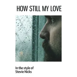 Karaokekappaleen How Still My Love - Stevie Nicks kansikuva