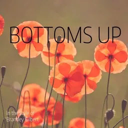 Titelbild für Bottoms Up - Brantley Gilbert Karaoke-Version