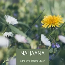 Omslagsbild för Nai Jaana - Neha Bhasin karaokeversion
