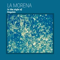 Cover art for La Morena - Ilegales karaoke version