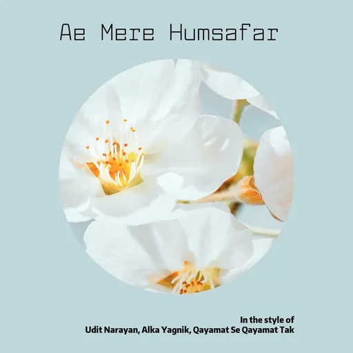 Ae Mere Humsafar - Karaoke