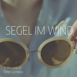 Cover art for Segel Im Wind - Peter Cornelius karaoke version